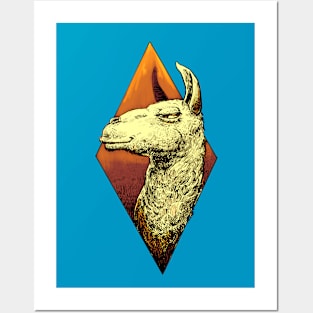 Colorful llama Posters and Art